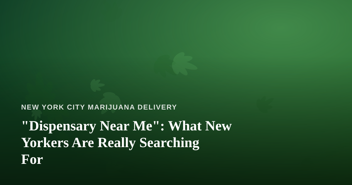 “Dispensary Near Me”: What New Yorkers Are Really Searching For